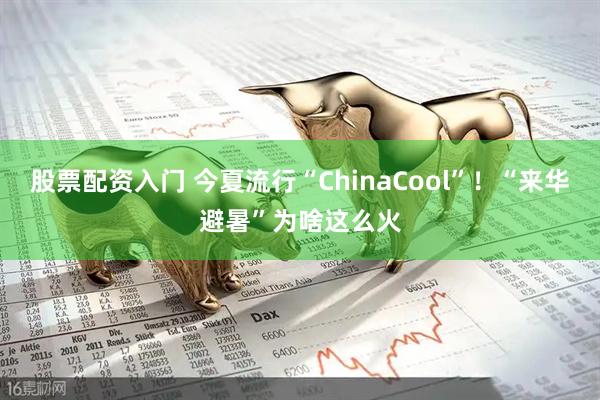股票配资入门 今夏流行“ChinaCool”！“来华避暑”为啥这么火